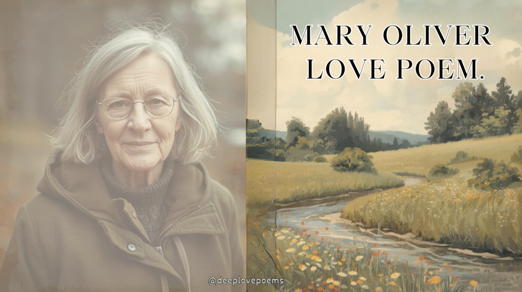 "Soft, romantic nature illustration representing Mary Oliver’s love poems, featuring gentle sunlight, natural landscape, and poetic atmosphere."